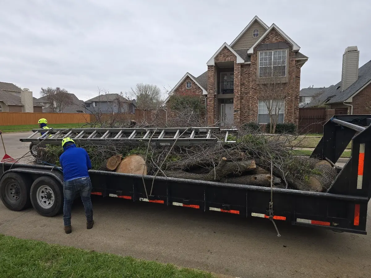 Expert Tree Fertilization with proper safety equipment in Ulysses